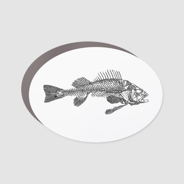 Fish skeleton car magnet (Front)