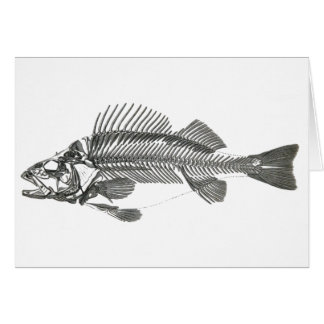 Fish Skeleton Cards