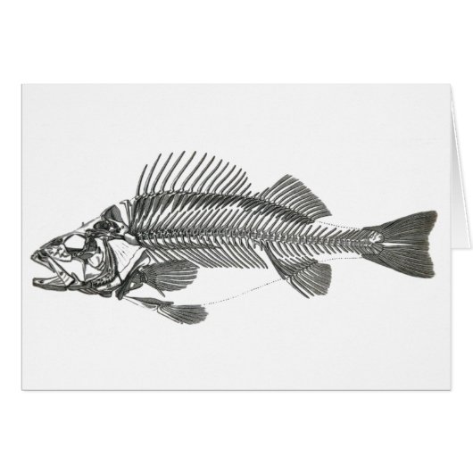 Fish Skeleton Cards (Front Horizontal)