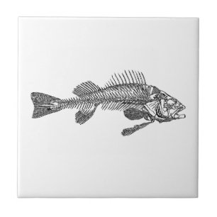 Fish skeleton ceramic tile