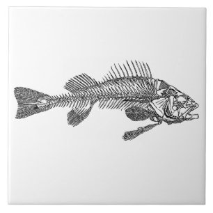 Fish skeleton ceramic tile