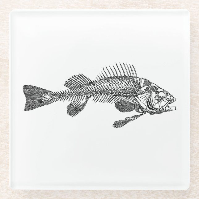 Fish skeleton glass coaster (Front)