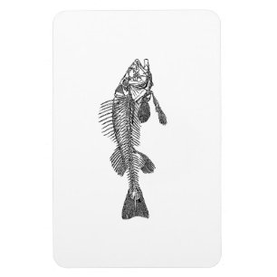 Fish skeleton magnet