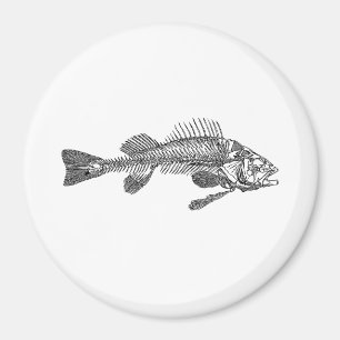 Fish skeleton magnet