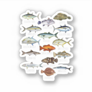 Fish Species Biology Types Of Saltwater Fish Fishi Sticker