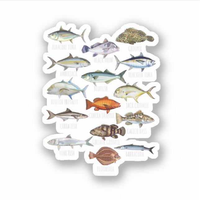 Fish Species Biology Types Of Saltwater Fish Fishi Sticker (Front)