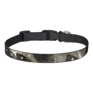 Fish Storm Pet Collar