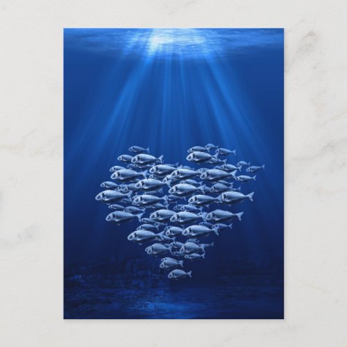 fish swarm under water heart postcard