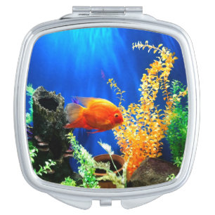 Fish tank aquarium compact mirror