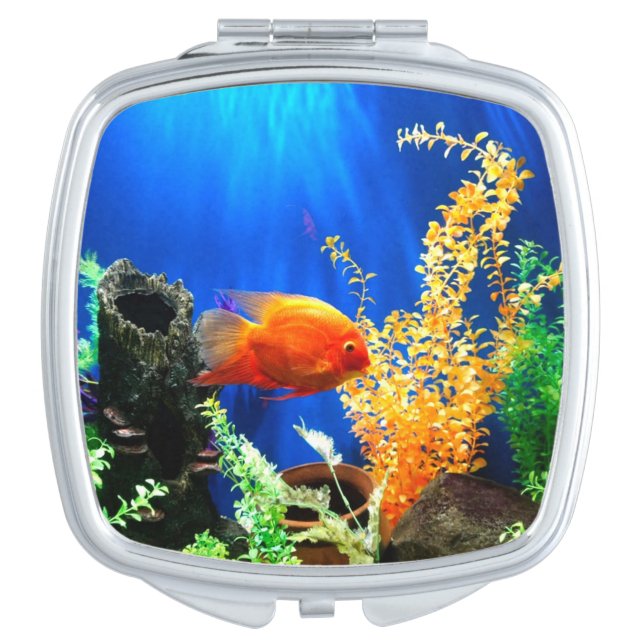 Fish tank aquarium compact mirror (Front)