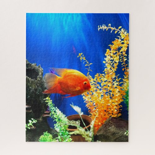 Fish tank aquarium jigsaw puzzle