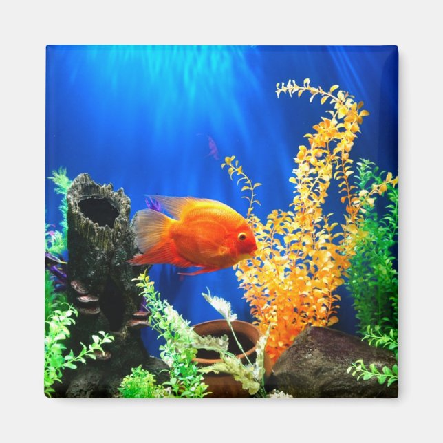 Fish tank aquarium magnet (Front)