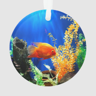 Fish Tank Christmas Decorations Zazzle