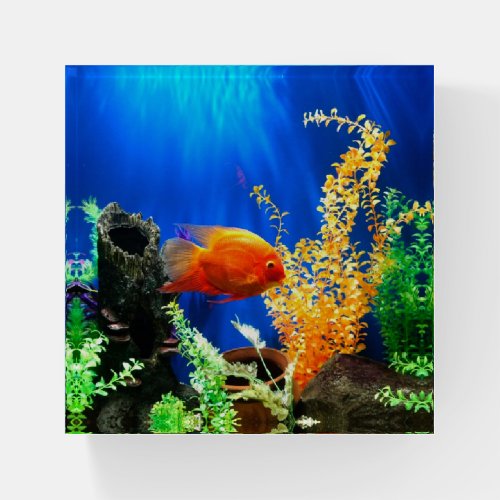 Fish tank aquarium paperweight