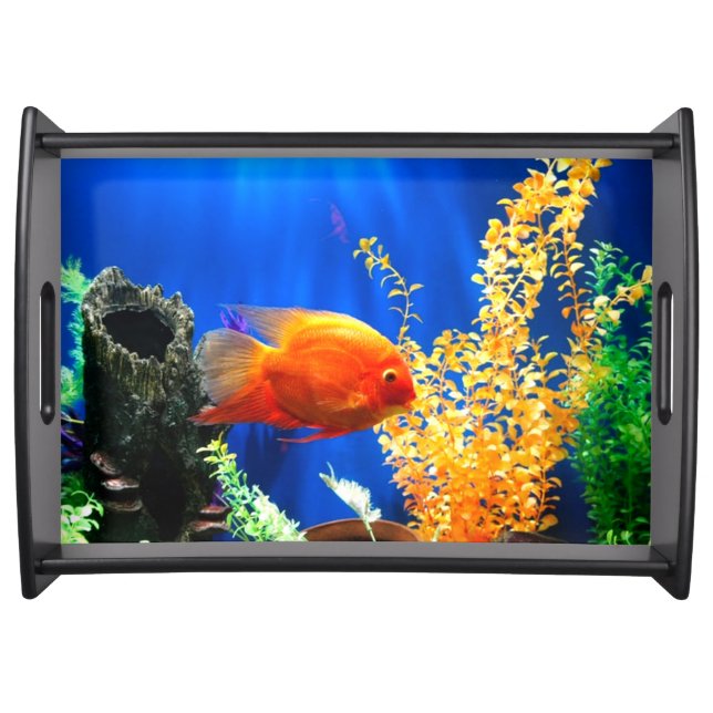 Fish tank aquarium serving tray (Front)