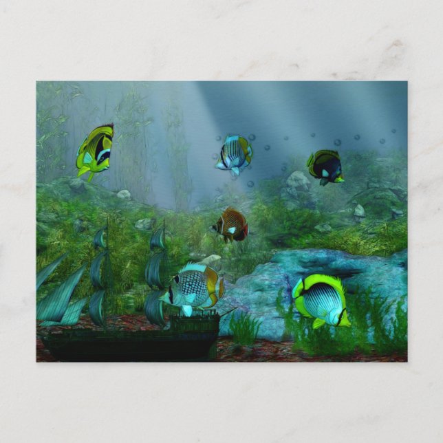 Fish Tank Aquraium Art Postcard (Front)