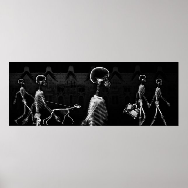 Fish Tank BKRD X-Ray Skeletons Midnight Stroll B&W Poster (Front)