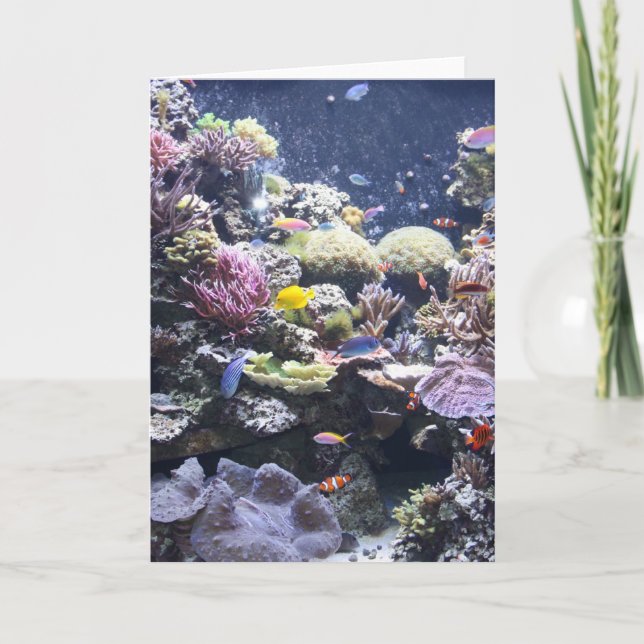 fish tank card (Front)