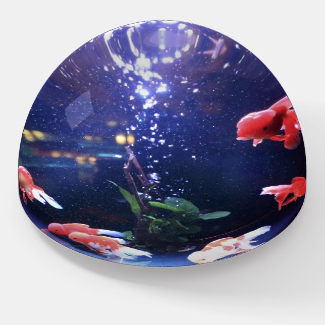 fish tank paperweight (Angled)