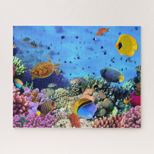 Fish & turtle under the sea 520 piece Puzzle