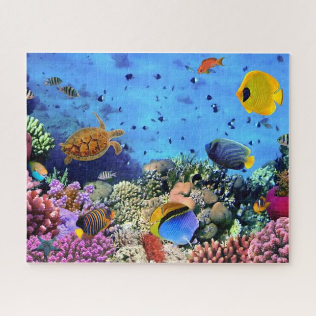 Fish & turtle under the sea 520 piece Puzzle (Horizontal)