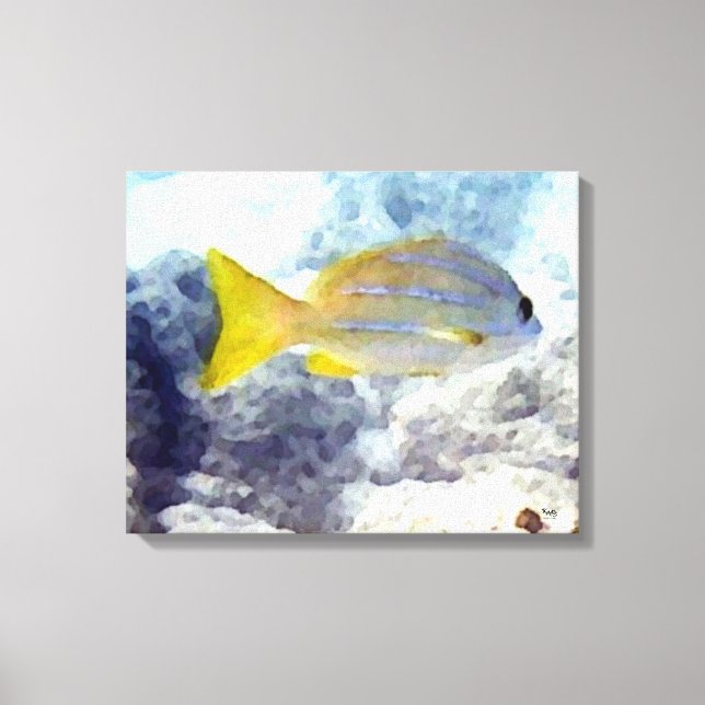 Fish Underwater Canvas Print (Front)