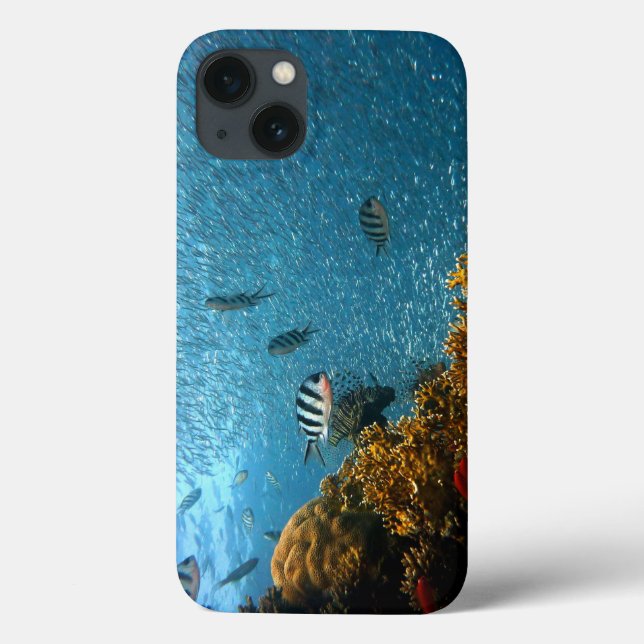 Fish, Underwater, Corals Case-Mate iPhone Case (Back)