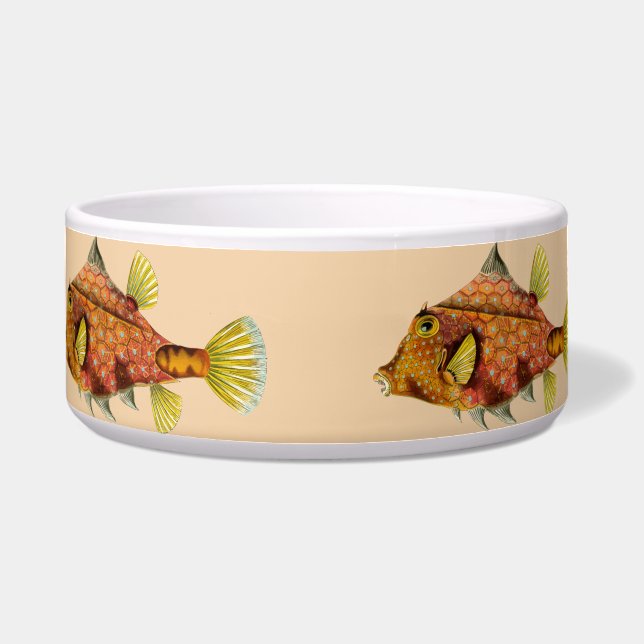 fish wrap cat food bowl (Front)