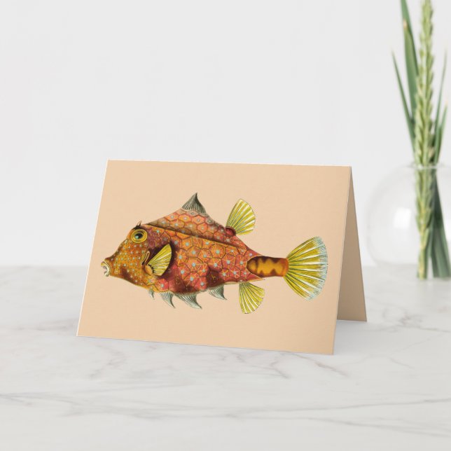 fish wrap greeting card (Front)