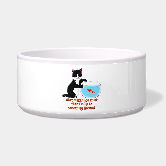 Fishbowl Cat Bowl (Front)