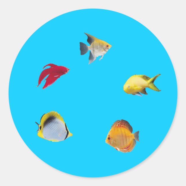 Fishbowl Classic Round Sticker (Front)