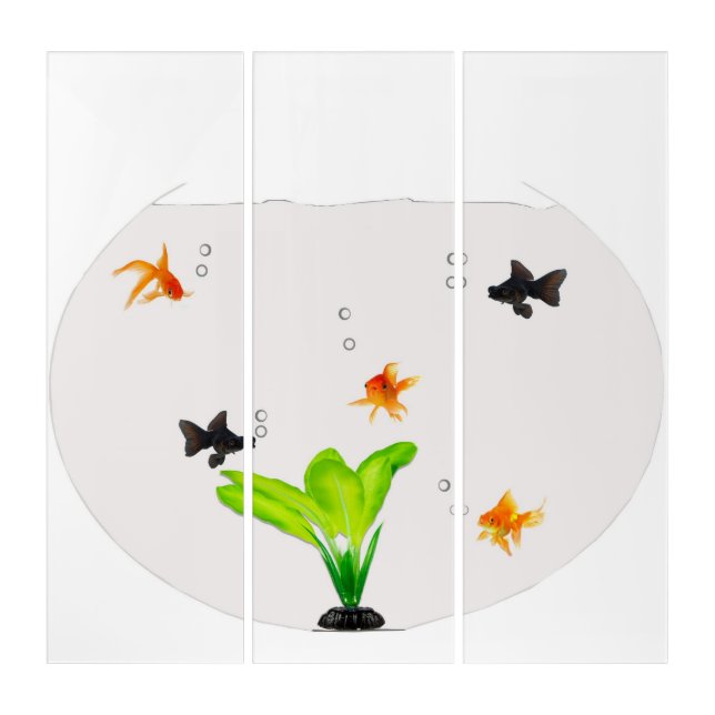 Fishbowl Photo Print Triptych (Front)