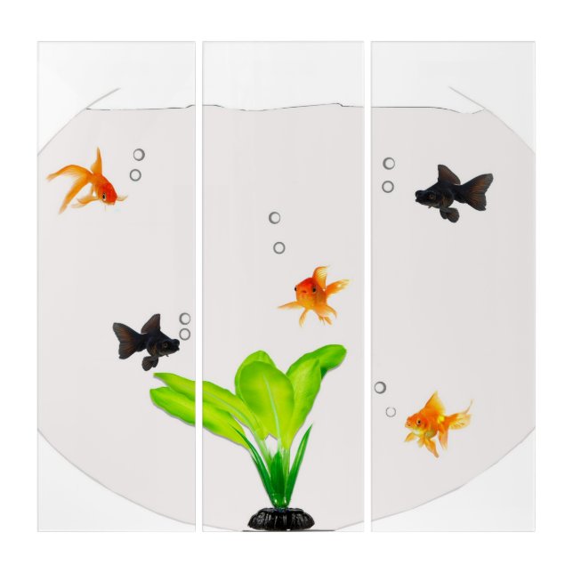 Fishbowl Photo Print Triptych (Front)