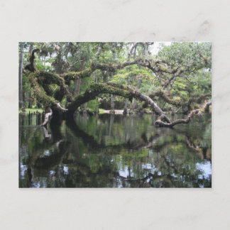 Fisheating Creek Post Card