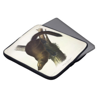Fisher (Pennant's Marten or Cat Fisher) by Audubon Laptop Sleeve