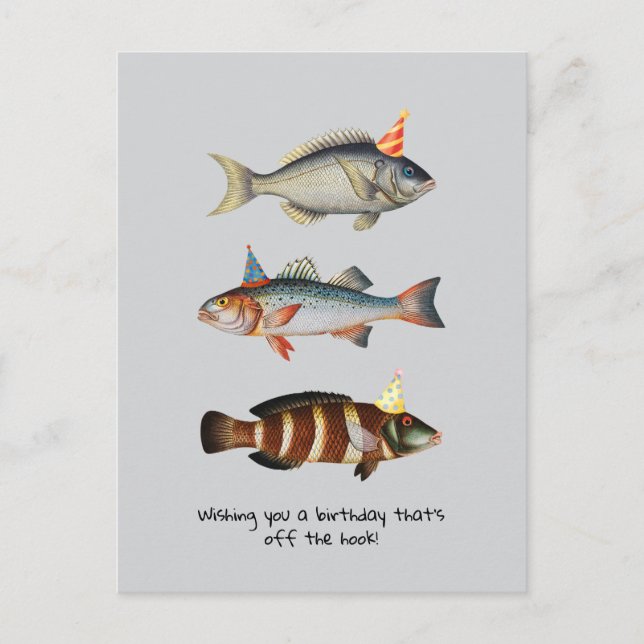Fisherman Fish Hat Fun Birthday Postcard (Front)