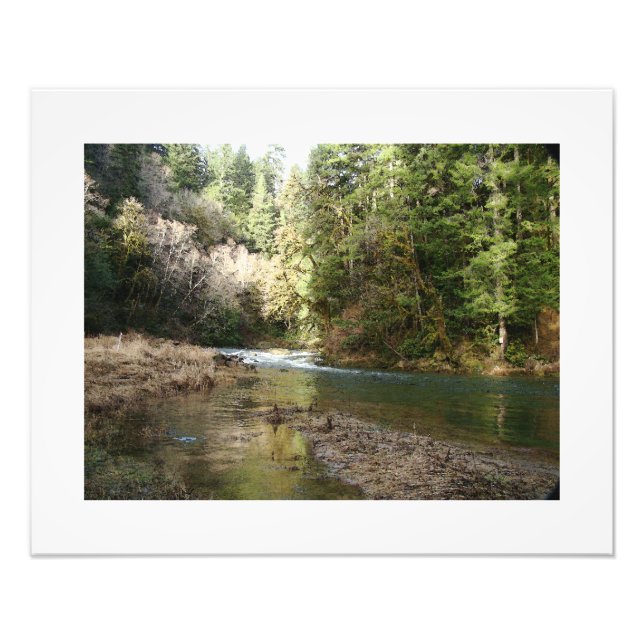 Fisherman River Steelhead Trout Fly Fishing Rapids Photo Print (Front)