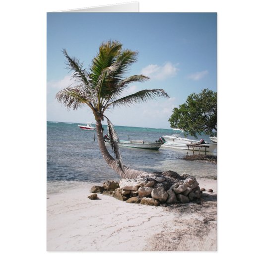 Fisherman's Paradise (Front)