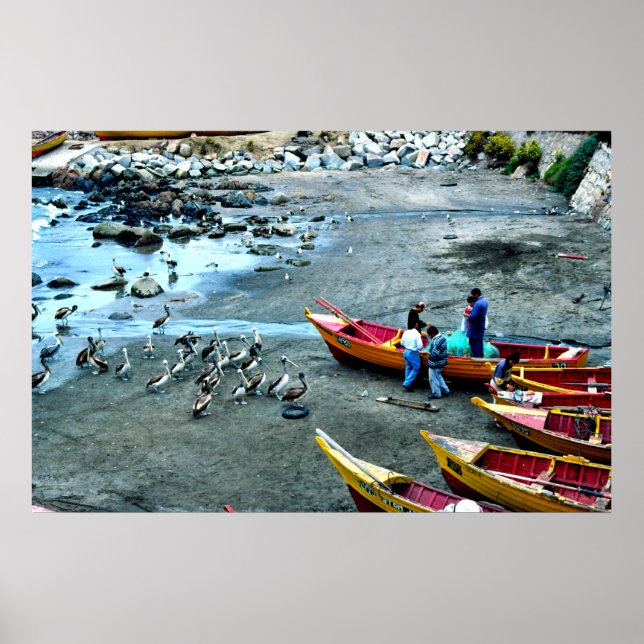 Fishermen and pelicans, Valparaiso, Chile Poster (Front)