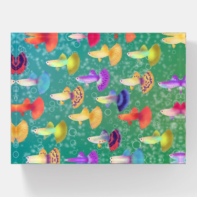 Fishes Guppies Aqua Paperweight (Front)