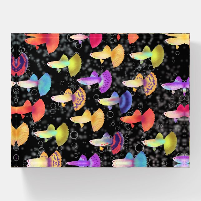 Fishes Guppies Black Paperweight (Front)