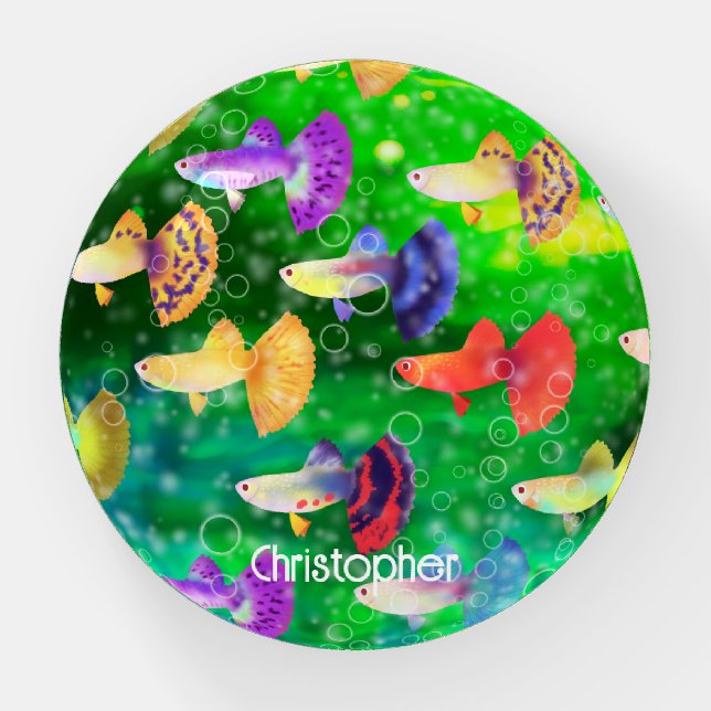 Fishes Guppies paperweight (Front)