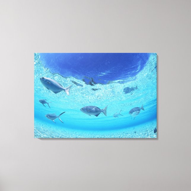 Fishes in the sea 3 canvas print (Front)