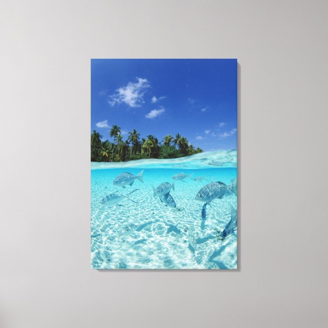 Fishes in the sea canvas print (Front)