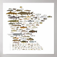 Fishes of Minnesota