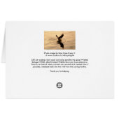 Fishing Bald Eagle at Twilight Thank You Card (Back Horizontal)