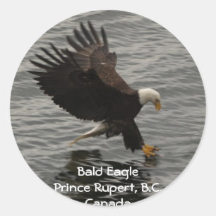 Fishing Bald Eagle Gift Set Classic Round Sticker