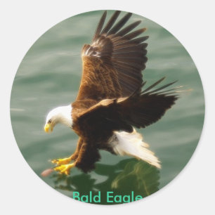 Fishing Bald Eagle Motivational Sticker Gift