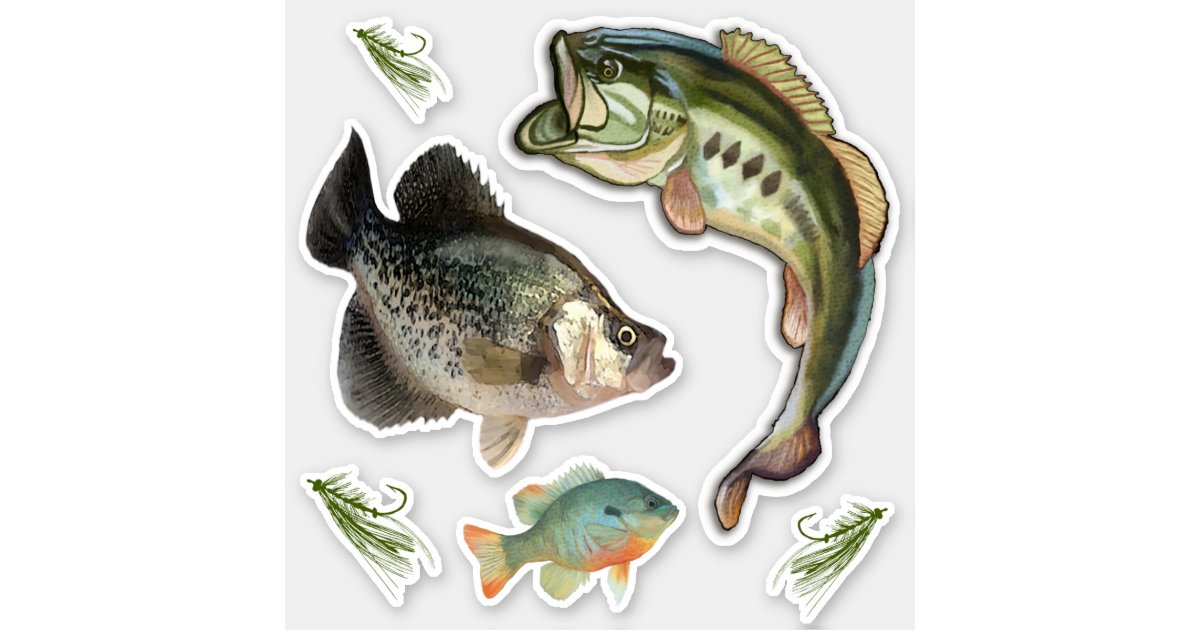 FUNNY FISHING VINYL Decal Sticker  Hooked Bass Crappie Fish Hook