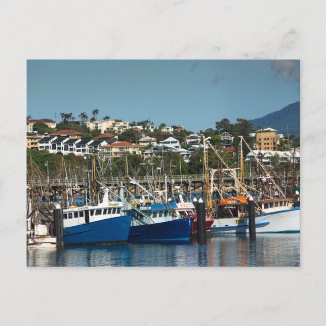 Fishing boats at Coffs Harbour Marina, Australia Postcard (Front)
